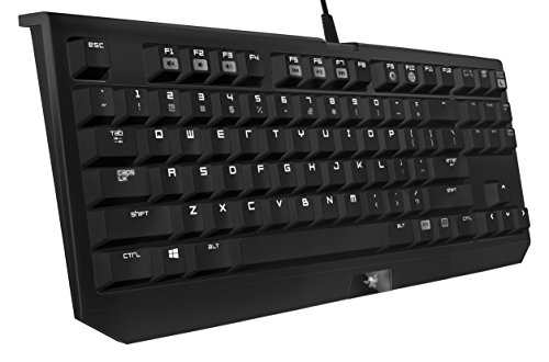 Razer Blackwidow TE product image